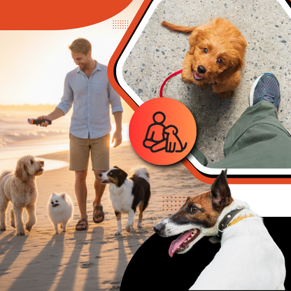 Calm Control Ultrasonic Dog Trainer Repeller - Ozerty