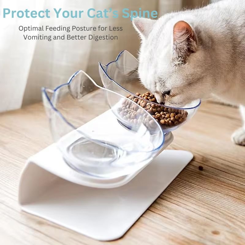 Orthopedic Elevated Cat Bowl