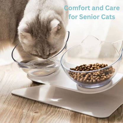 Orthopedic Elevated Cat Bowl