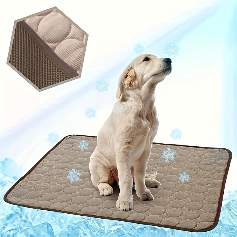 Polyester Pet Bed for Extra Small Dogs with Polyamide Cover and Cushioned Filling