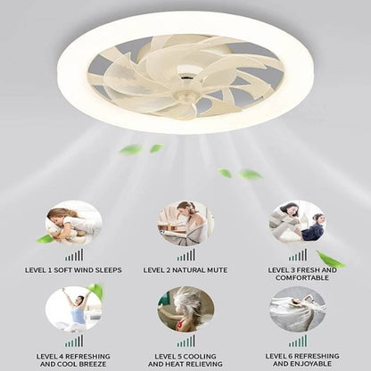 Modern Ceiling Fan with LED Lights