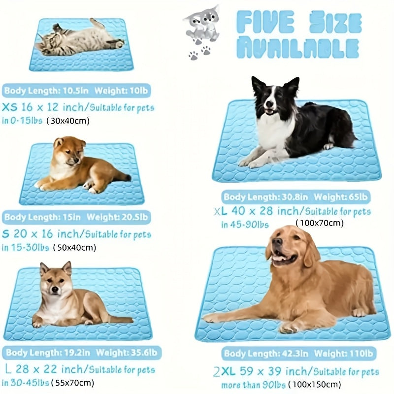 Polyester Pet Bed for Extra Small Dogs with Polyamide Cover and Cushioned Filling