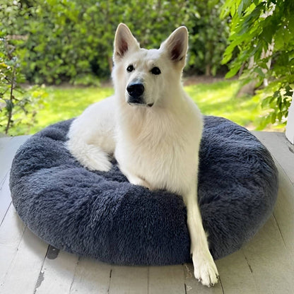 Calming Dog Bed