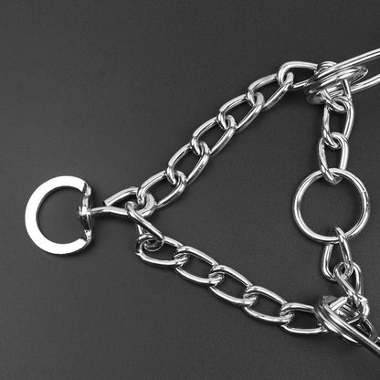 Dog Pincher Collar - Style B