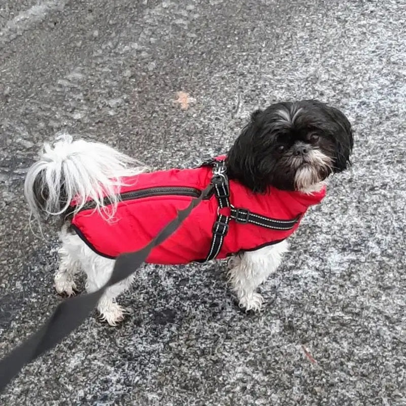 Waterproof Dog Jacket for Winter with Reflective Built-In Harness