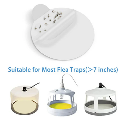 Sticky Bed Bug Trap Refill Glue Boards
