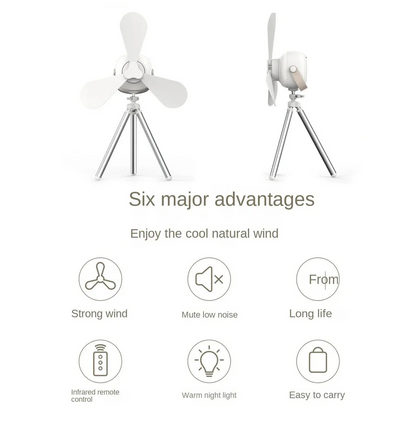 Wireless Celling Fan