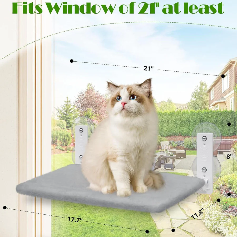 Cat Hammock Window