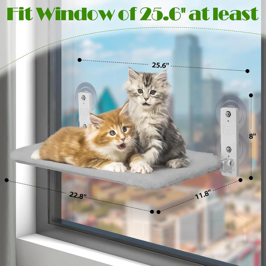 Cat Hammock Window