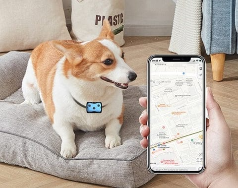 GPS Tracker for Dogs Location Collar