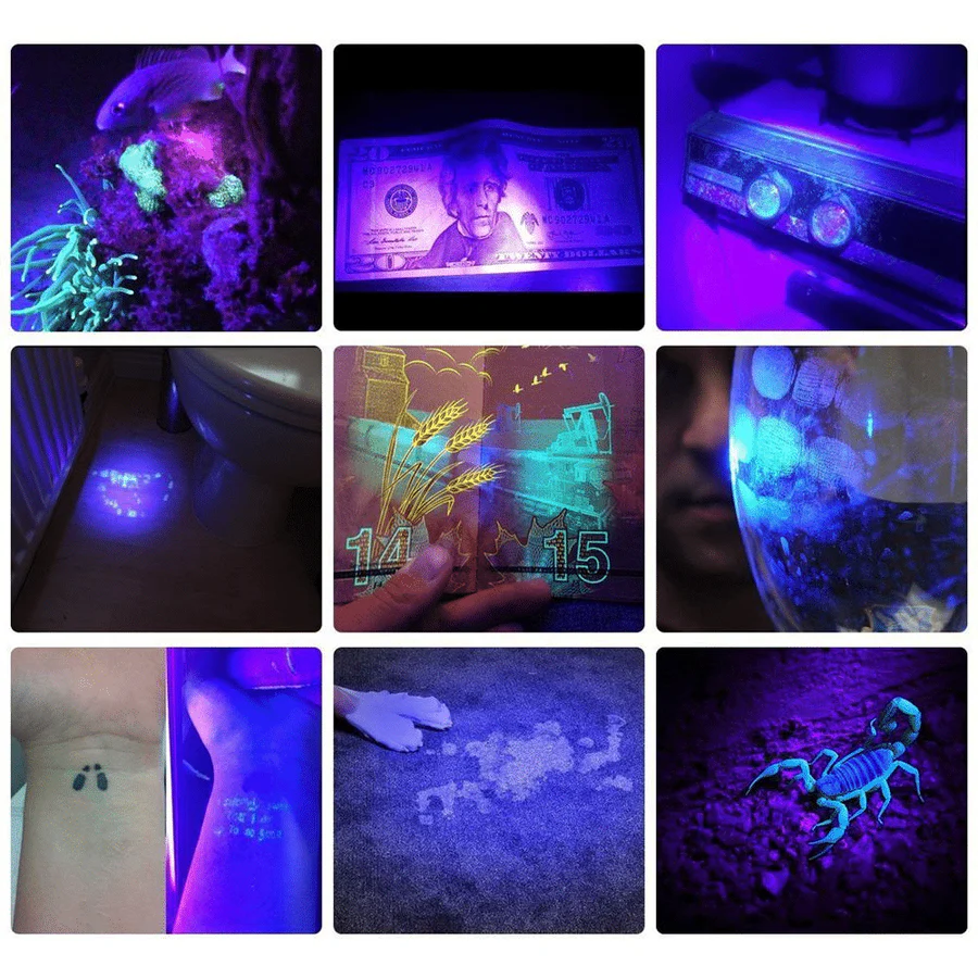 Compact UV Blacklight Flashlight for Inspection and Cleaning Checks