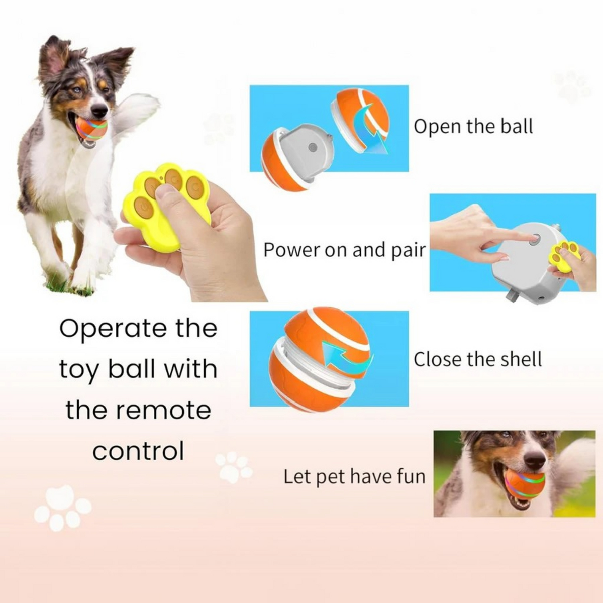 Interactive Dog and Cat Ball Toy