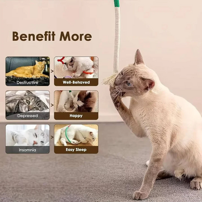 Cat Chew Toys for Healthy Play