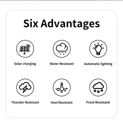 Outdoor Solar Hanging Lantern