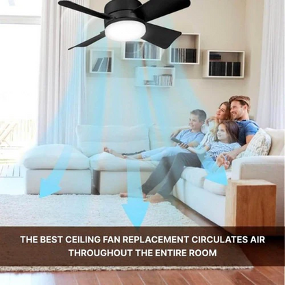 Ceiling Mounted Fan