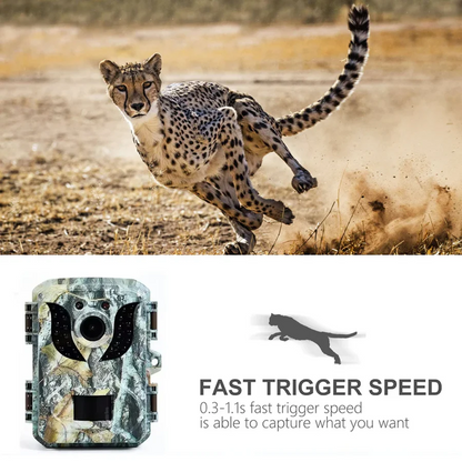 Compact Wildlife Camera with HD Infrared Night Vision
