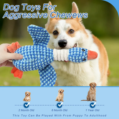 Plush Dog Chew Toy with Squeaker