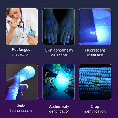 UV Flashlight, USB Rechargeable Ultraviolet Black Light for Pet Urine, Stain, Ore & Fluorescent Detection