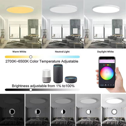 Wireless Smart Ceiling Light Wifi & Bluetooth