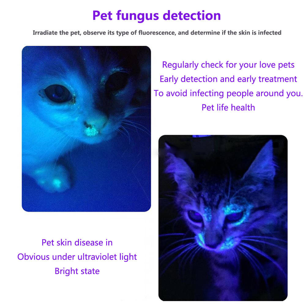 UV Flashlight, USB Rechargeable Ultraviolet Black Light for Pet Urine, Stain, Ore & Fluorescent Detection