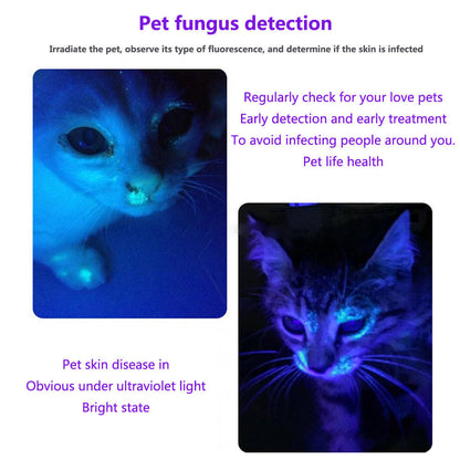 UV Flashlight, USB Rechargeable Ultraviolet Black Light for Pet Urine, Stain, Ore & Fluorescent Detection