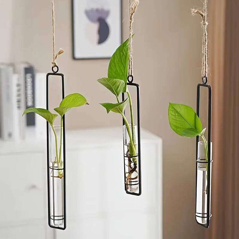 Wall Hanging Propagation Station, Glass Test Tube Planter with Metal Frame & Rope for Indoor Plant Cuttings