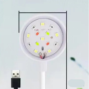 Light for Fish Tank