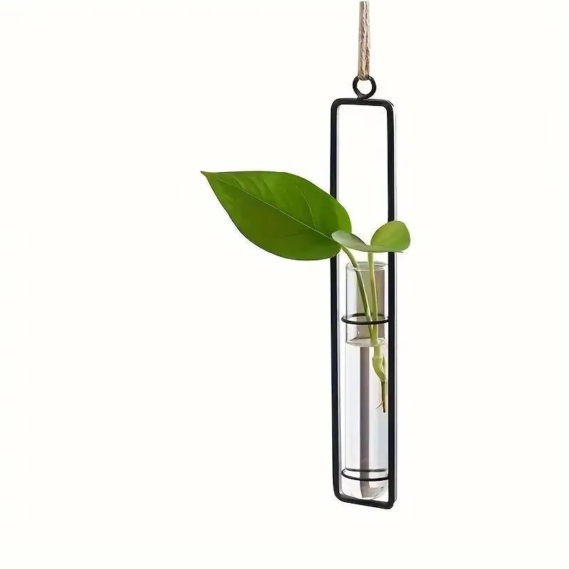 Wall Hanging Propagation Station, Glass Test Tube Planter with Metal Frame & Rope for Indoor Plant Cuttings