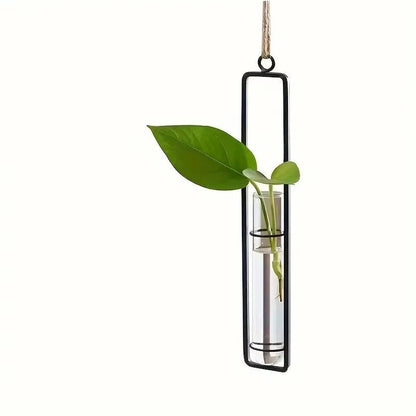 Wall Hanging Propagation Station, Glass Test Tube Planter with Metal Frame & Rope for Indoor Plant Cuttings