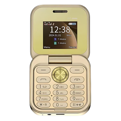 Compact Folding Cell Phone with Dual Nano SIM, Color Display and Rear Camera
