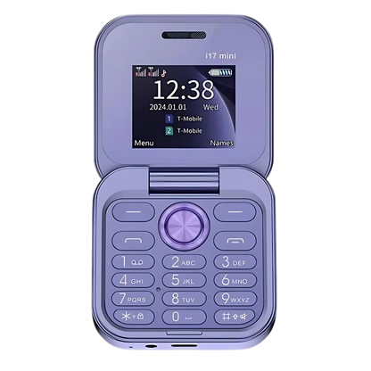 Compact Folding Cell Phone with Dual Nano SIM, Color Display and Rear Camera