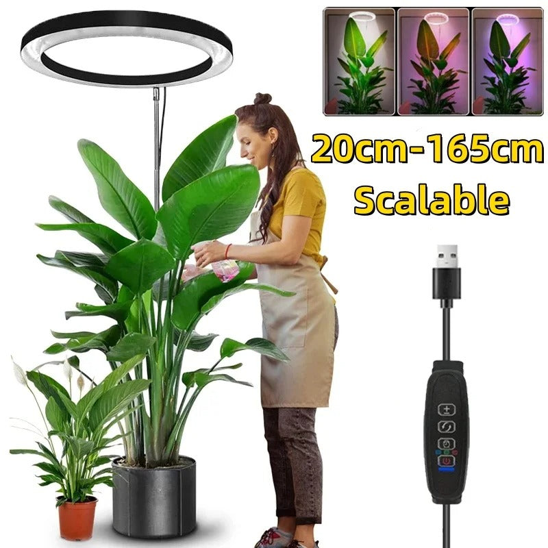 Ring Grow Light with Adjustable Telescoping Stand and Timer