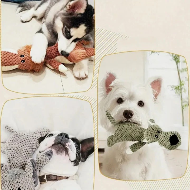 Durable Dog Toy For Strong Teeth