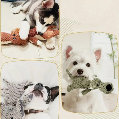 Durable Dog Toy For Strong Teeth