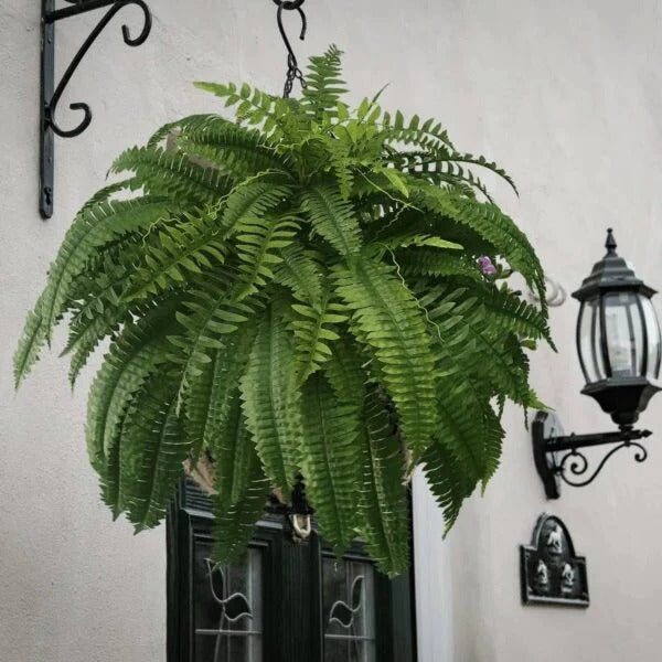 Artificial Boston Fern with Flexible Stems for Planters, Hanging Baskets and Decorative Pots