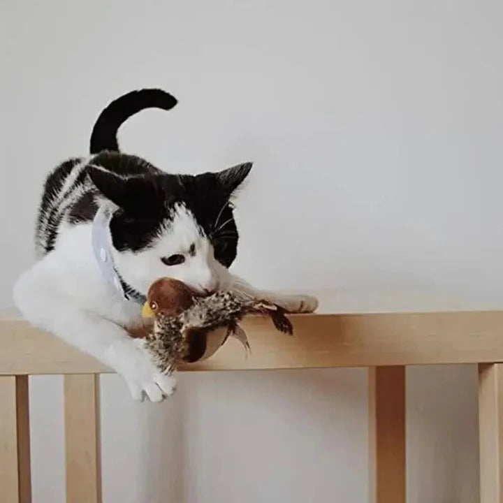 Interactive Sound Bird Cat and Dog Toy