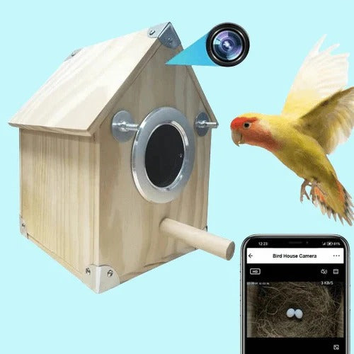 Bird Watching Nesting Feeder Nest