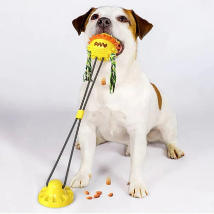 Interactive Self-Playing Pet Toy