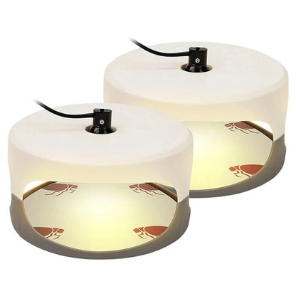 Indoor Bed Bug Trap and Catcher with Sticky Pads