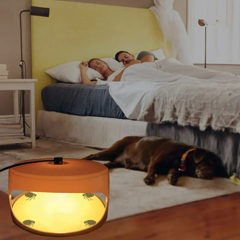 Indoor Bed Bug Trap and Catcher with Sticky Pads