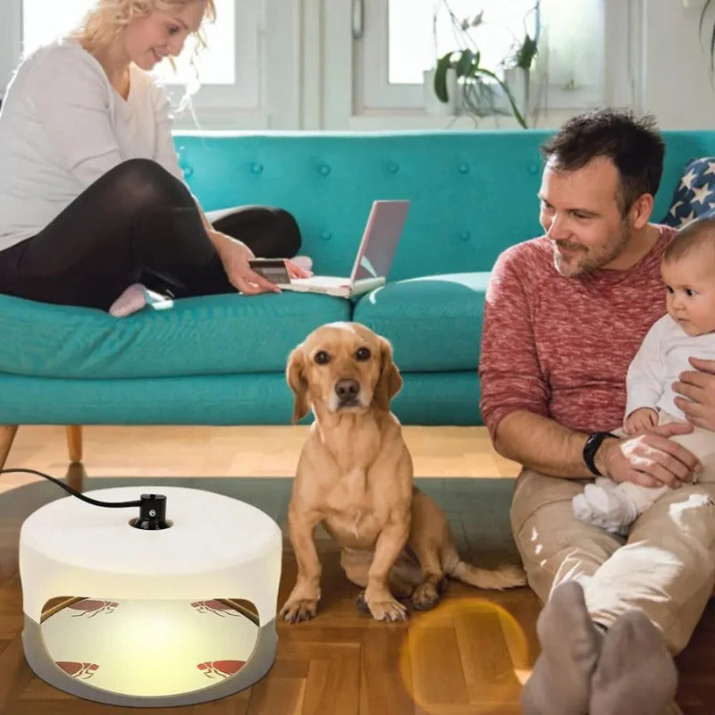 Indoor Bed Bug Trap and Catcher with Sticky Pads