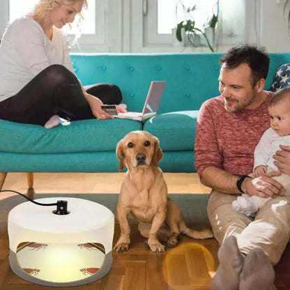 Indoor Bed Bug Trap and Catcher with Sticky Pads