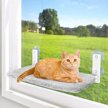 Cat Hammock Window