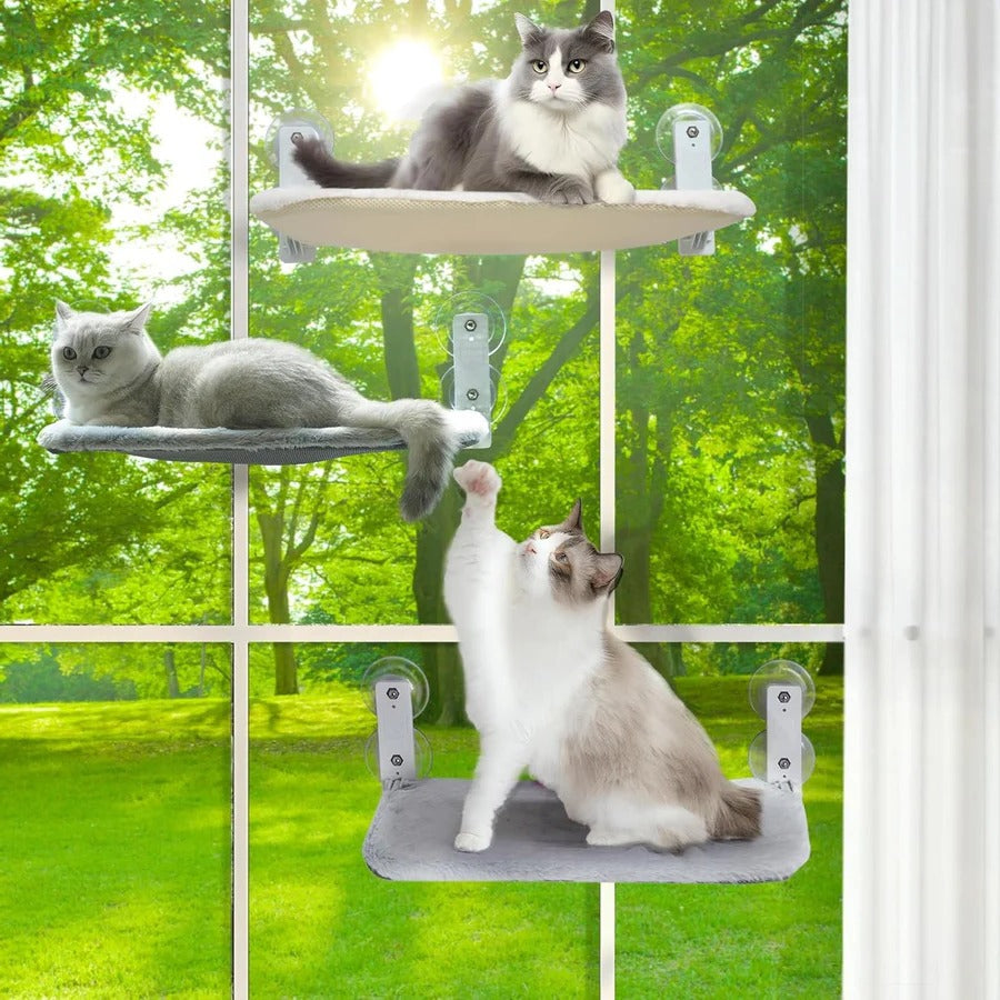 Cat Hammock Window