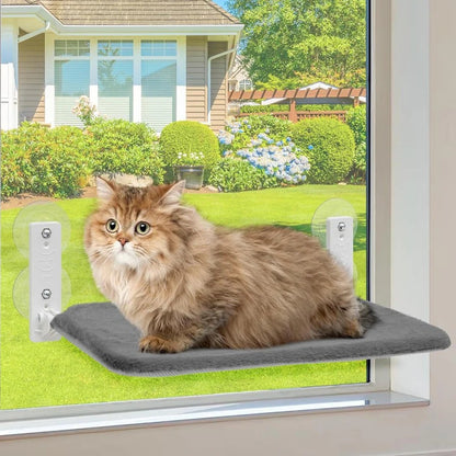 Cat Hammock Window