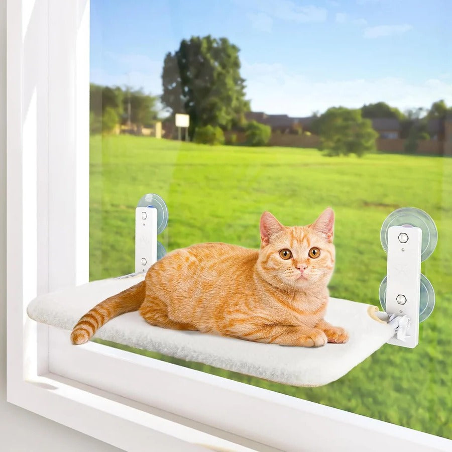 Cat Hammock Window