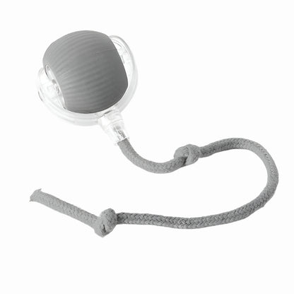 Active Rolling Ball with Tail for Dogs