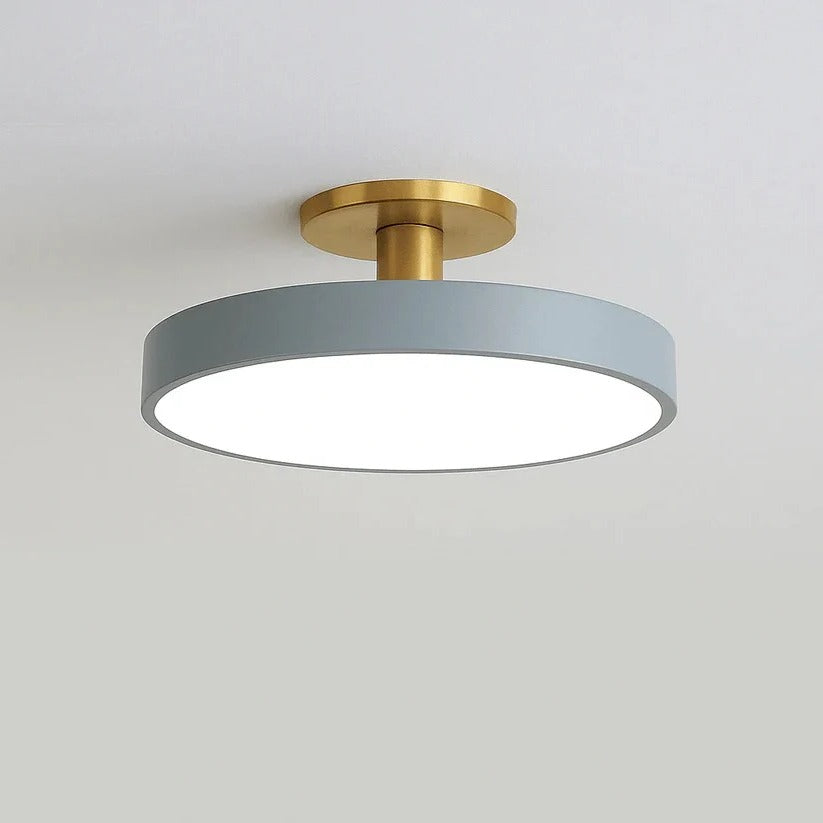 Modern LED Ceiling Light with Flush Mount Design for Interior Spaces