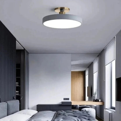 Modern LED Ceiling Light with Flush Mount Design for Interior Spaces