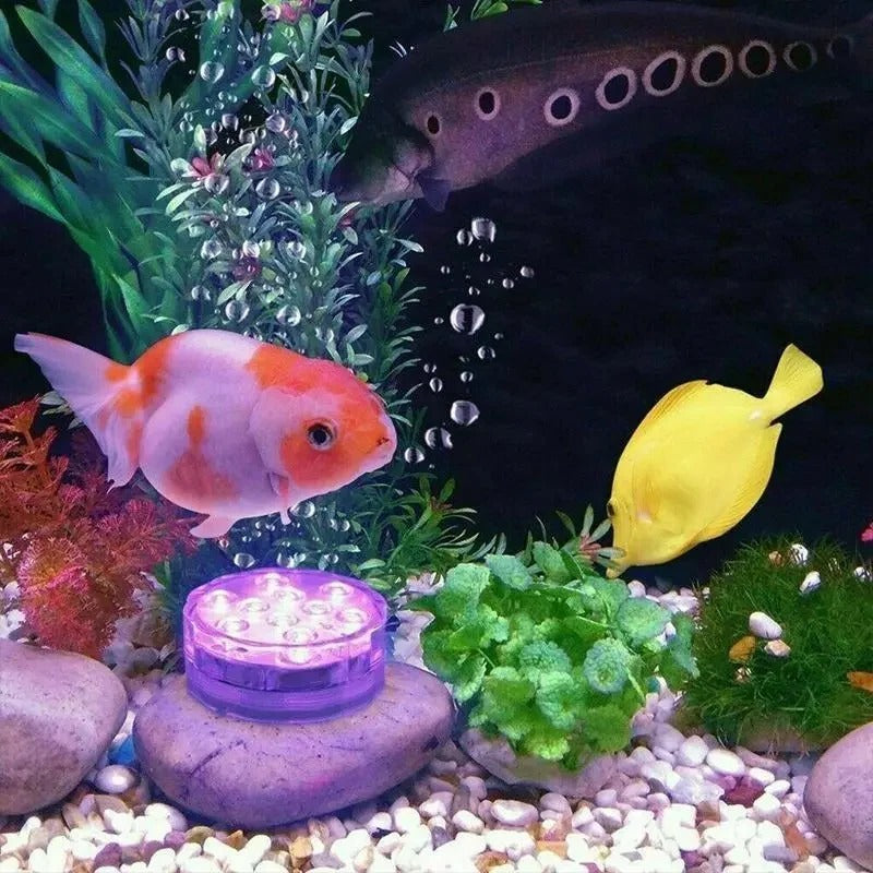 Submersible LED Light